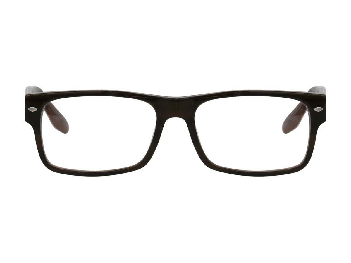 HiDX H107 Optical Crossover safety frame in Shiny Tortoise (C.2), front view